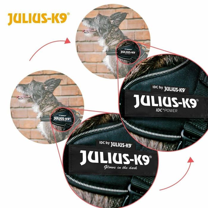 Arnés para Perro Julius K9 IDC Rojo S - Mini 5 Arnés para Perro Julius K9 IDC Rojo S - Mini 5