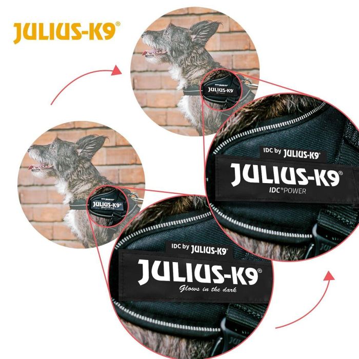 Arnés para Perro Julius K9 IDC Vaquero L 1 1