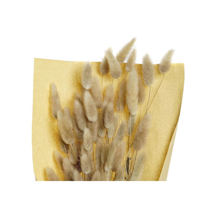 DKD Home Decor Ramo Cottage Natural Flor Seca Cola de Conejo 20 x 76 x 20 cm (12 Unidades) 1