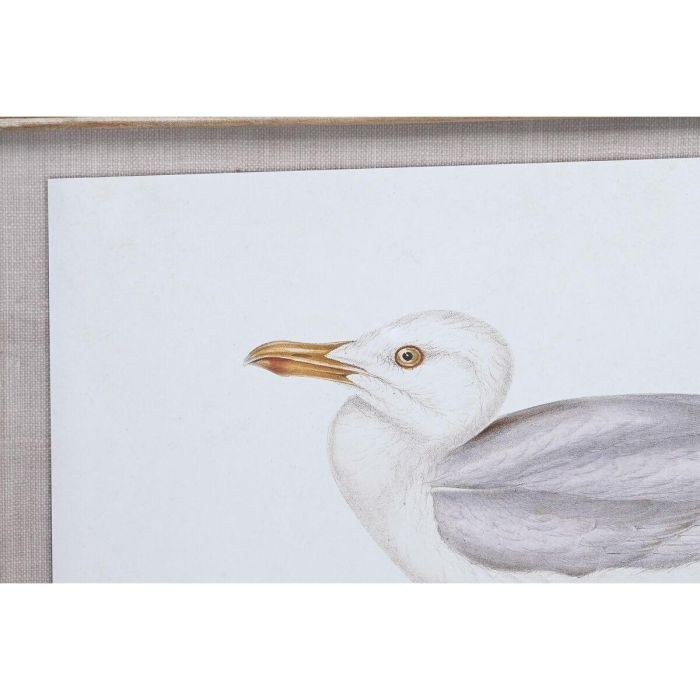 Cuadro DKD Home Decor 70 x 2,5 x 50 cm Tradicional Pájaros (6 Piezas) 1 Cuadro DKD Home Decor 70 x 2,5 x 50 cm Tradicional Pájaros (6 Piezas) 1