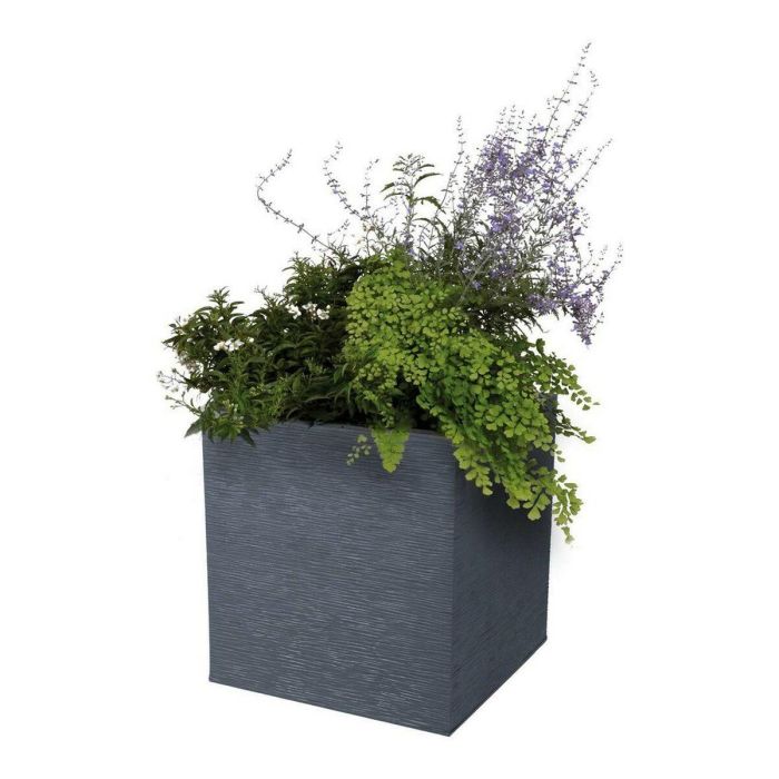 EDA PLASTIQUE Caja de flores cuadrada Graphit Up - 21 L - 29.5 x 29.5 x 29.5 cm - Gris antracita 3