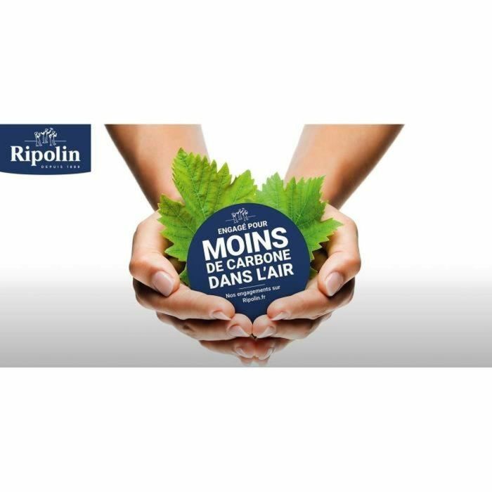 RIPOLIN PROTECCIÓN EXTREMA FACHADA TONO PIEDRA Mate 10 L 3 RIPOLIN PROTECCIÓN EXTREMA FACHADA TONO PIEDRA Mate 10 L 3