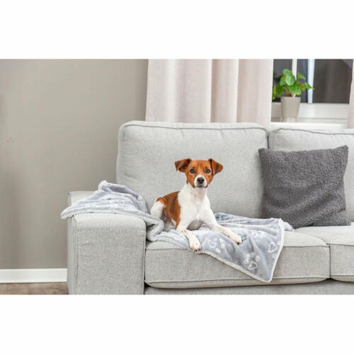 Manta para Mascotas Trixie Jimmy Soft Gris claro Poliéster Felpa 150 × 100 CM 1 Manta para Mascotas Trixie Jimmy Soft Gris claro Poliéster Felpa 150 × 100 CM 1