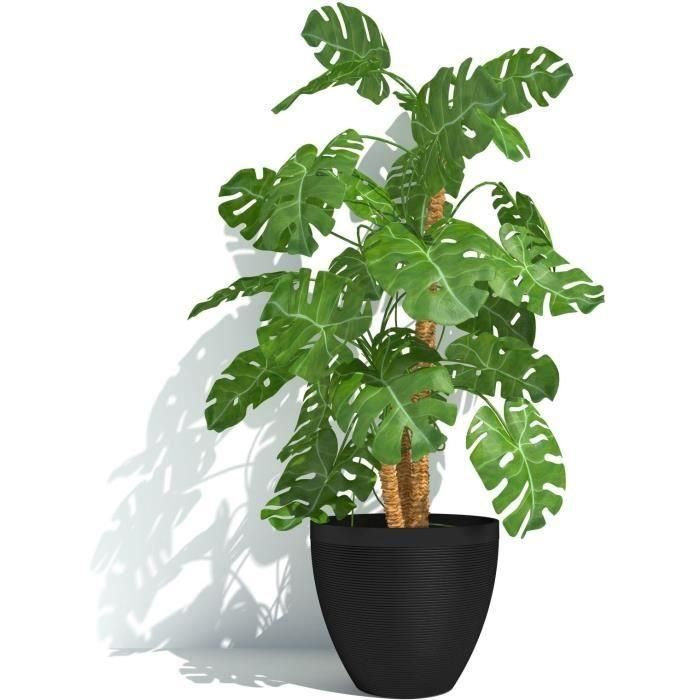 Maceta - GARDEN ID - Green Care Impact Black-Anth - 50 x 41 cm - 10 años de garantía - 100% reciclado - Resistente a los rayos UV/gel 3 Maceta - GARDEN ID - Green Care Impact Black-Anth - 50 x 41 cm - 10 años de garantía - 100% reciclado - Resistente a los rayos UV/gel 3