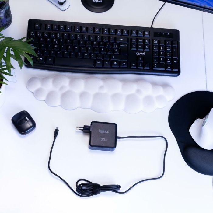 Cargador para Portátil iggual IGG319918 100 W 6