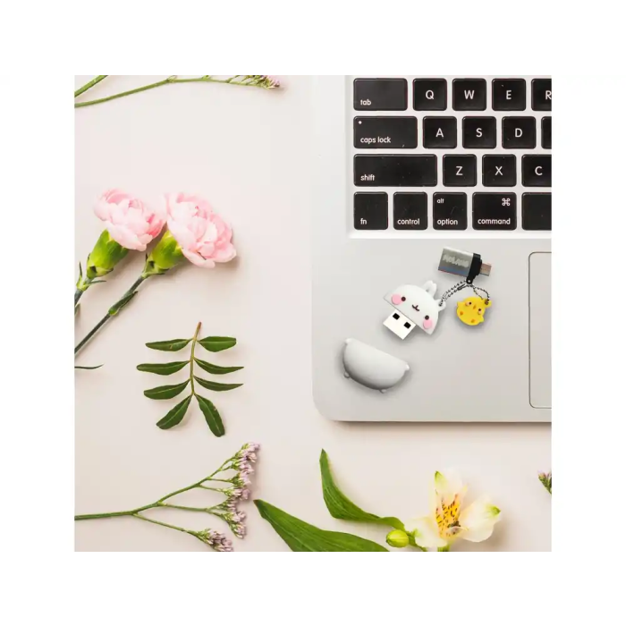 Wondee Memoria USB Molang 32GB Llavero con Adaptador USB C 3
