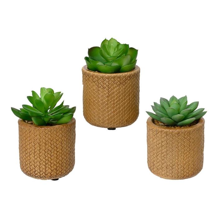 Planta suculenta artificial de 10cm modelos surtidos 809279