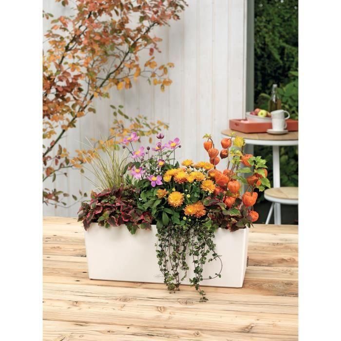 LECHUZA Jardinera Balconera Color 50 TODO EN UNO Blanco 15670 1