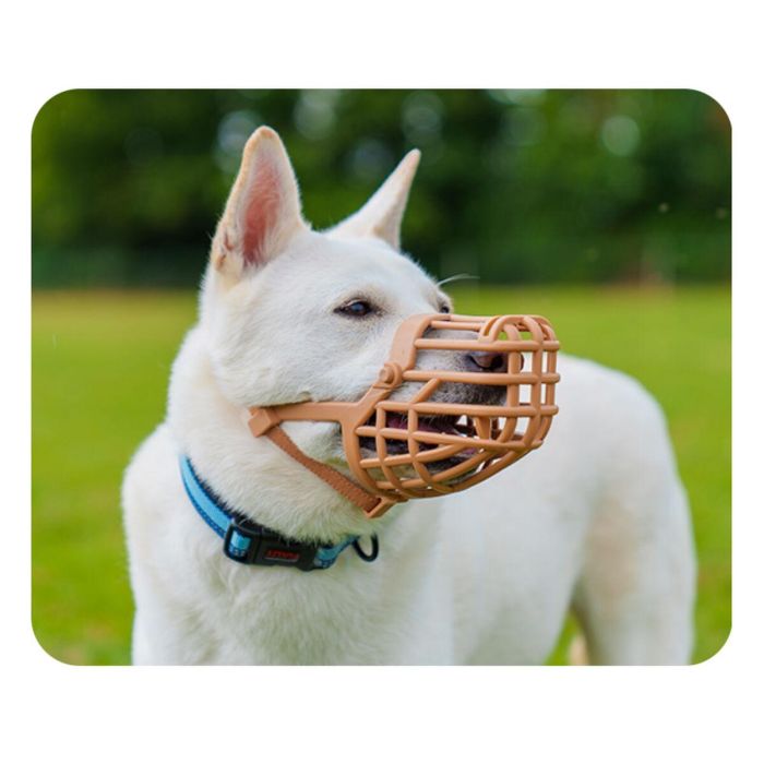 Baskerville Bozal Classic Basket Protección Adicional, Antihurgado, Antilamido y Anticoprofagia para Perros, TPR, Talla 8 (Hocico 32cm), Marrón 4 Baskerville Bozal Classic Basket Protección Adicional, Antihurgado, Antilamido y Anticoprofagia para Perros, TPR, Talla 8 (Hocico 32cm), Marrón 4