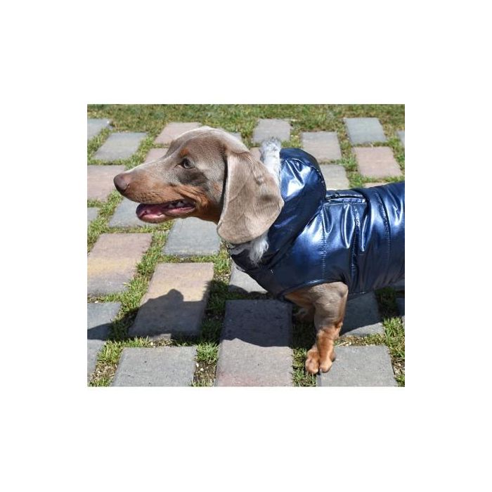 Nayeco Chaqueta Con Capucha Planet Azul 45 cm 1 Nayeco Chaqueta Con Capucha Planet Azul 45 cm 1