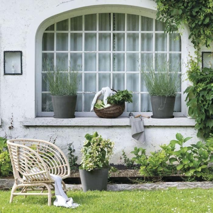 Plato para Maceta Deroma 3 Plato para Maceta Deroma 3