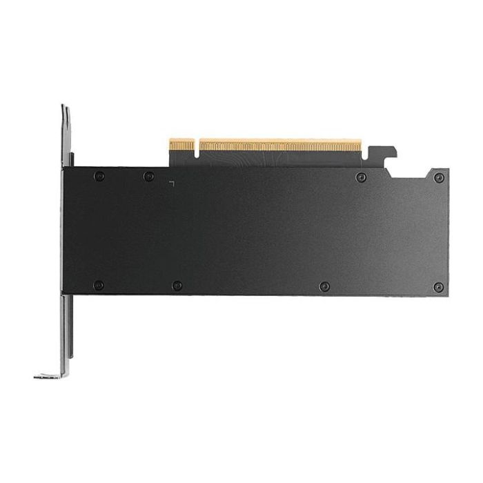 PNY RTX PRO 2000 Blackwell 16GB GDDR7 Tarjeta Gráfica 1