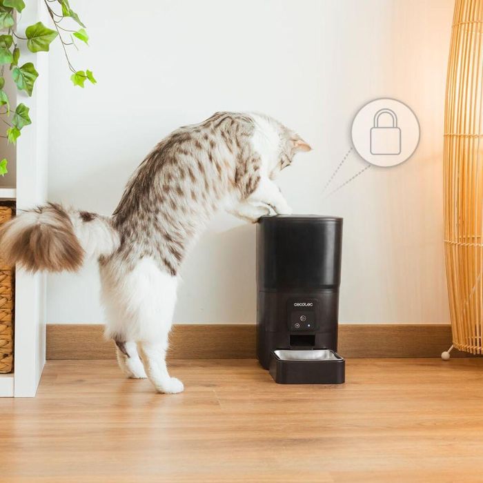 Comedero automático Cecotec Pumba 6000 Purrfect Meal Smart 1