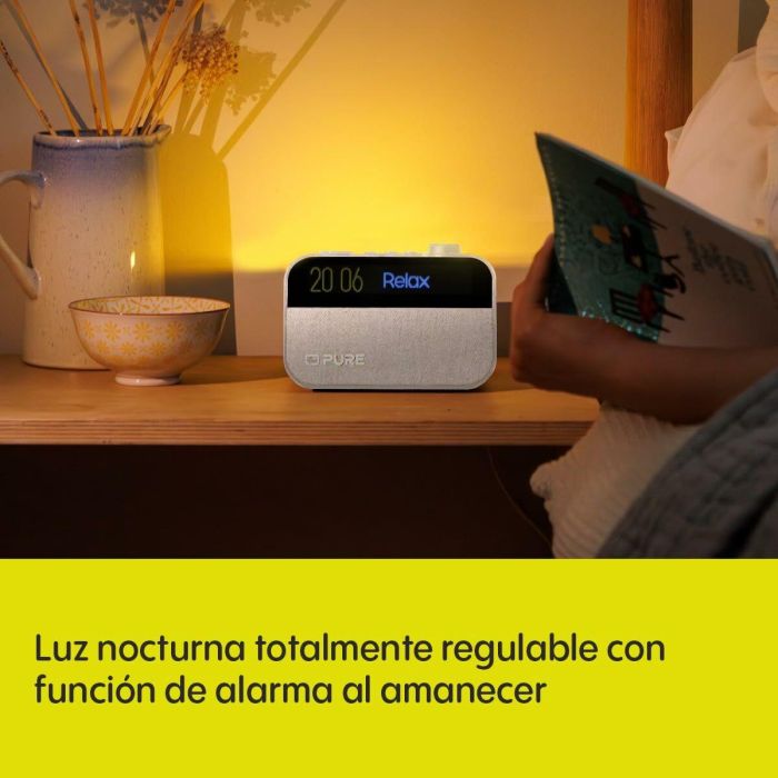 Radio Despertador Pure PURE MOMENT 1 Radio Despertador Pure PURE MOMENT 1