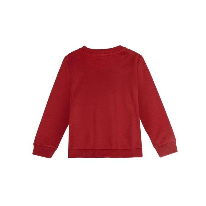 Sudadera cotton brushed hot wheels 5 años 1