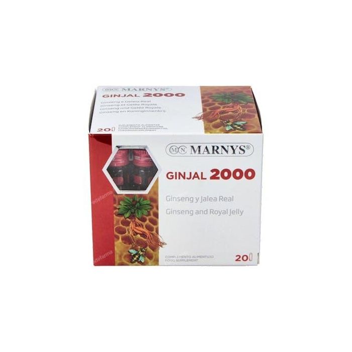 Ginjal 2000