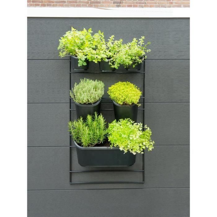 Jardinera de pared - Kit soporte de pared + 3 macetas (0,9L) + 2 macetas (2,5L) + 1 jardinera (5,4L) - Negro - Al 84 x L 48 cm - NATURE 2