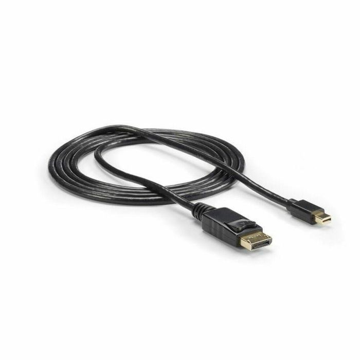 Cable DisplayPort Mini a DisplayPort Startech MDP2DPMM6 Negro 1,8 m 1