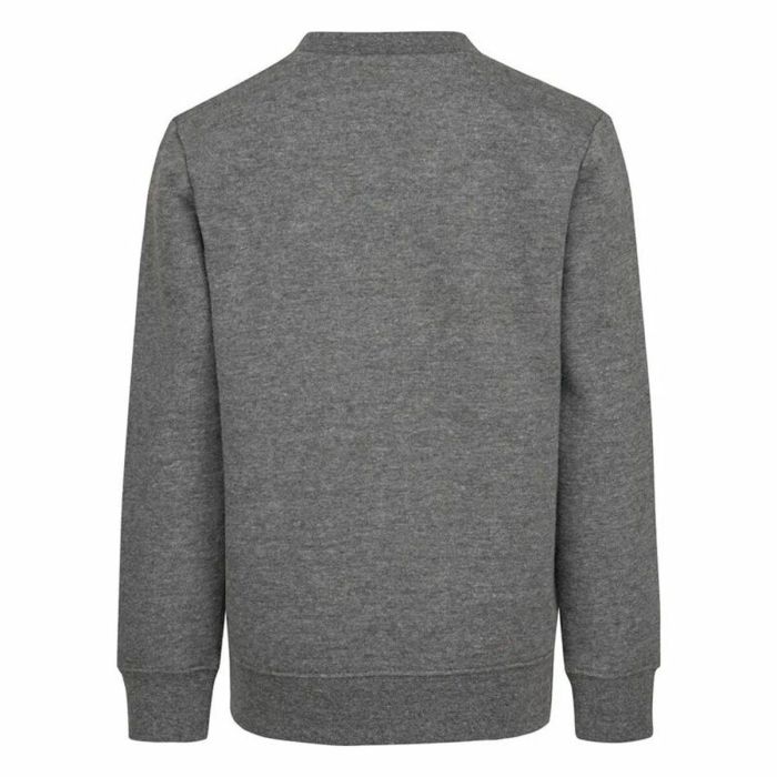 Sudadera sin Capucha Niño Nike Gris 1 Sudadera sin Capucha Niño Nike Gris 1