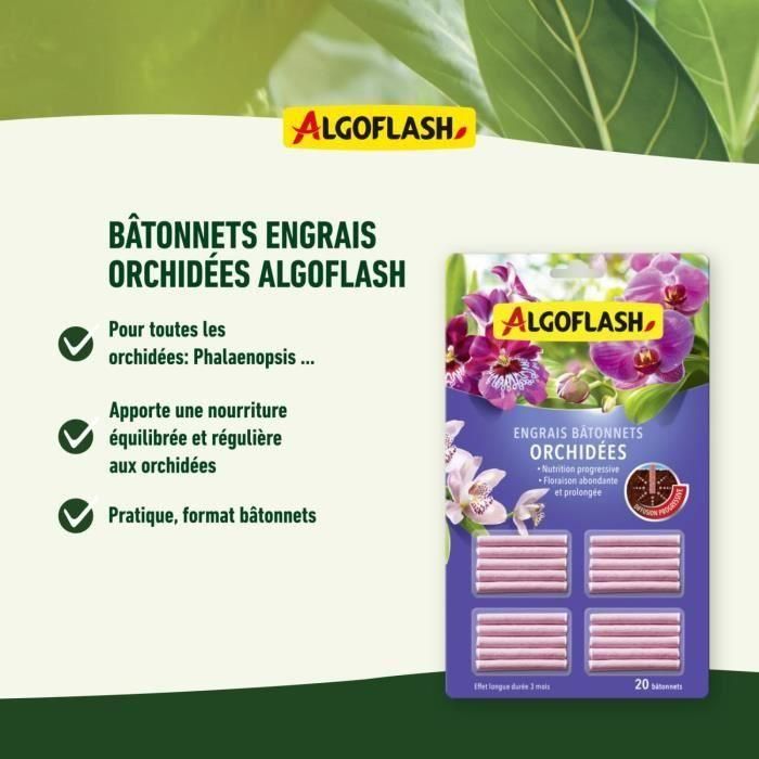 ALGOFLASH - Abono Orquídea Sticks 20 sticks 1