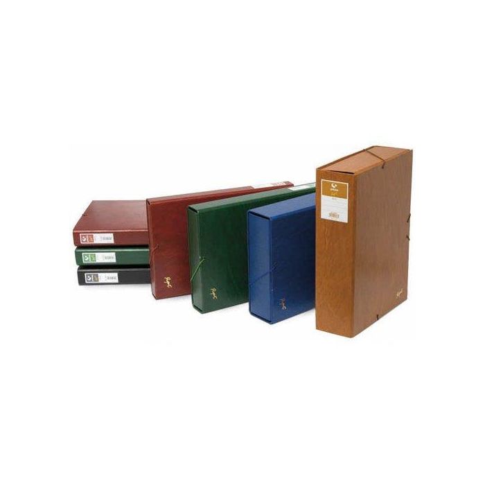 Carpeta De Proyectos Grafoplas Project Carton Forrado Pvc Fº Gomas 9 Cm Verde (Set de 6)