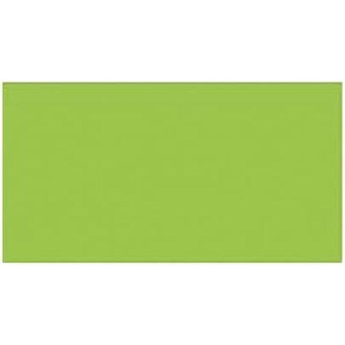 Iris Cartulina 50x65 cm 250 gr Verde Fluor - 25 unidades