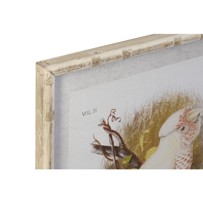 DKD Home Decor Cuadro Blanco Cristal Bambú Cacatua 2.8 x 65 x 50 cm (4 Unidades) 1 DKD Home Decor Cuadro Blanco Cristal Bambú Cacatua 2.8 x 65 x 50 cm (4 Unidades) 1