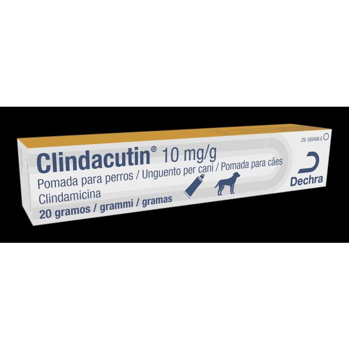 Clindacutin Ointment Paste 10 mg-G 20 gr Clindacutin Ointment Paste 10 mg-G 20 gr