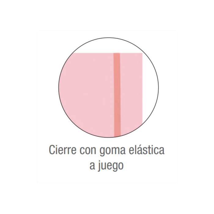 Oxford 400146217 Carpeta de Fundas A4, 30 Fundas, Tapa Plástico, Cierre Goma, Colores Surtidos 6