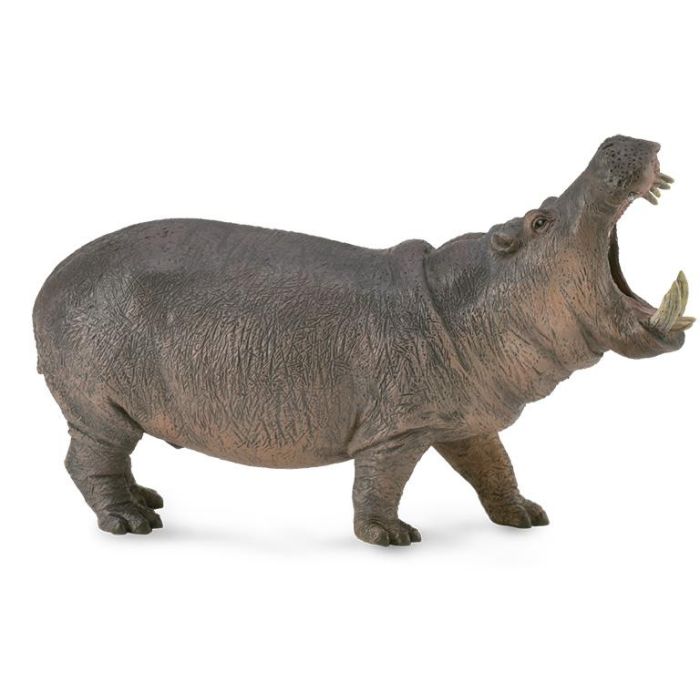 Hipopotamo - Xl - 88833 - Collecta Hipopotamo - Xl - 88833 - Collecta