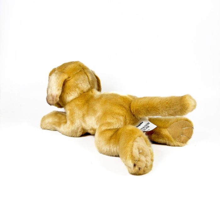 Peluche Labrador Canela Tumbado 25Cm 939D00285 Bocalan 4 Peluche Labrador Canela Tumbado 25Cm 939D00285 Bocalan 4