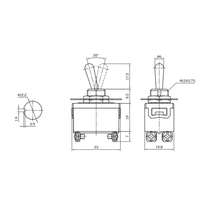 Edm Interruptor bipolar rabillo metálico 10A 250V 1