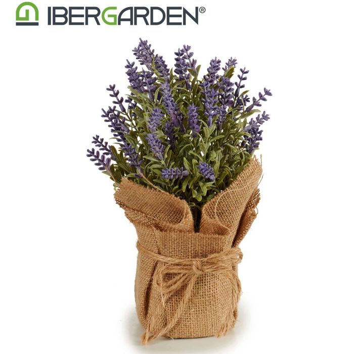 Lavanda Maceta Saco Pequeña 17X25Cm Ibergarden (12 Unidades) 1 Lavanda Maceta Saco Pequeña 17X25Cm Ibergarden (12 Unidades) 1