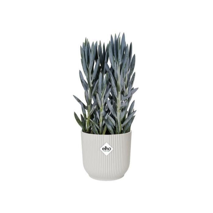 ELHO Vibes Fold Macetero redondo Ruedas 35 - Blanco - Ø 35 x H 32 cm - interior - 100% reciclado 2 ELHO Vibes Fold Macetero redondo Ruedas 35 - Blanco - Ø 35 x H 32 cm - interior - 100% reciclado 2