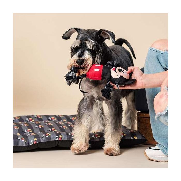 Cerdá Cuerda Dental Mickey para Perro | Juguete de Higiene Bucal para Masticar y Limpiar Dientes | Color Negro | Dimensiones 15x6x28 cm 5 Cerdá Cuerda Dental Mickey para Perro | Juguete de Higiene Bucal para Masticar y Limpiar Dientes | Color Negro | Dimensiones 15x6x28 cm 5