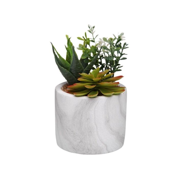 Planta Decorativa Versa Cerámica Plástico Fusion Suculenta 9 x 15 x 9 cm 1 Planta Decorativa Versa Cerámica Plástico Fusion Suculenta 9 x 15 x 9 cm 1