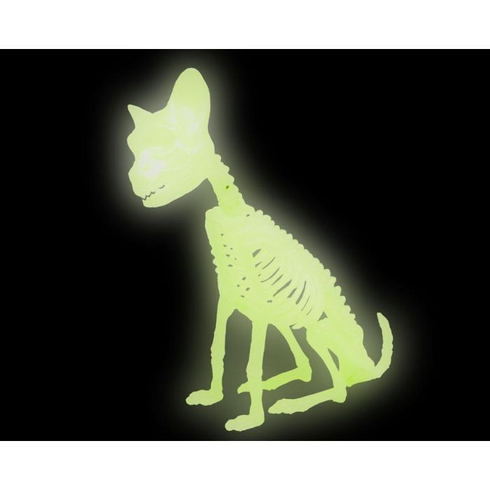Decoración Halloween Gato Esqueleto que Brilla en la Oscuridad, Plástico Translúcido, Ideal para Entradas y Mesas 1 Decoración Halloween Gato Esqueleto que Brilla en la Oscuridad, Plástico Translúcido, Ideal para Entradas y Mesas 1