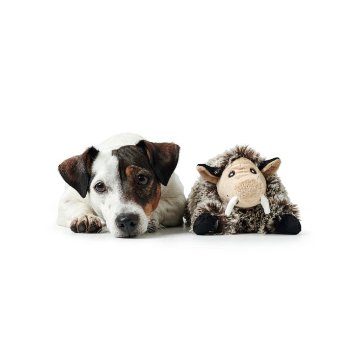 Juguete Para Perro Faro Cerdo Juguete Para Perro Faro Cerdo