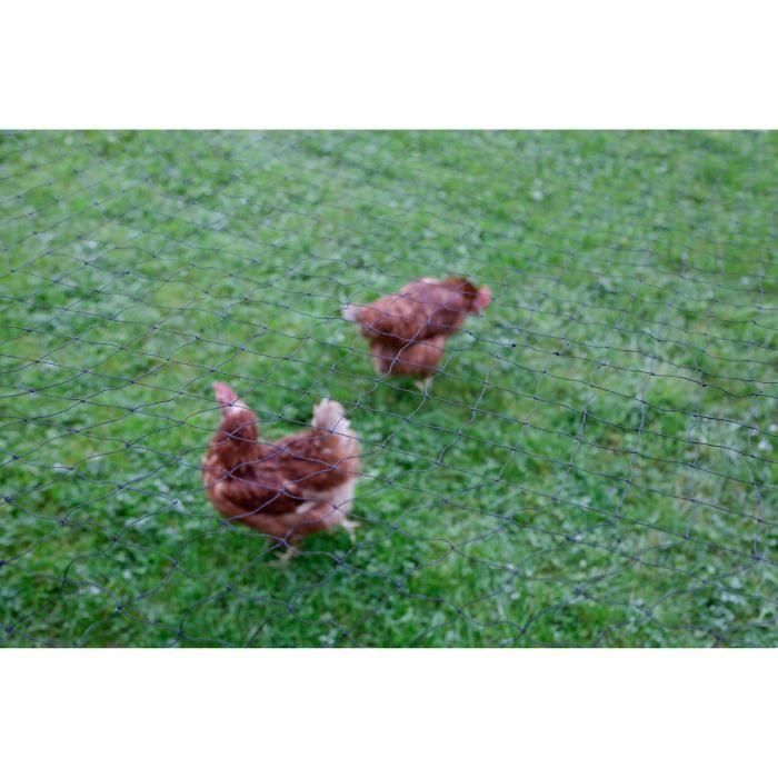 Neta protectora Kerbl - Mase de 60 mm - 10 x 5 m - negro - para aves de corral 1 Neta protectora Kerbl - Mase de 60 mm - 10 x 5 m - negro - para aves de corral 1