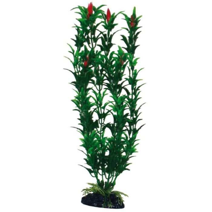 Planta Plastico Egeria