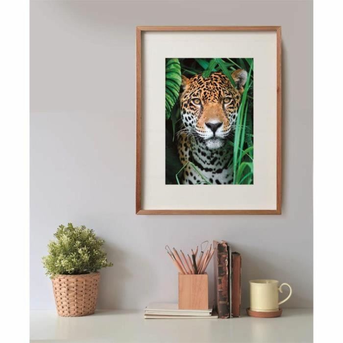 Clementoni CLE1708579108441 Puzzle 500 Piezas Compacto - Jaguar en la Jungla 2