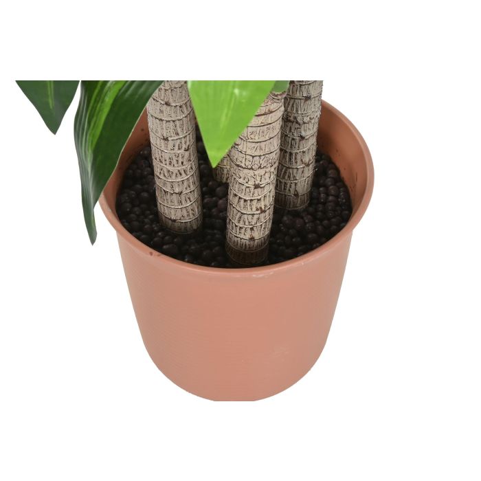 Planta Tropical DKD Home Decor Verde Marron 80 x 180 x 80 cm (2 Unidades) 3