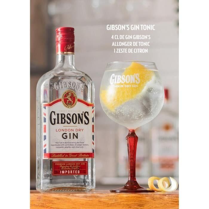 Ginebra Gibson 70cl 2