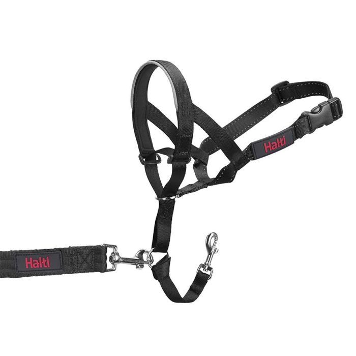 Bozal Halti Headcollar Negro Talla 0