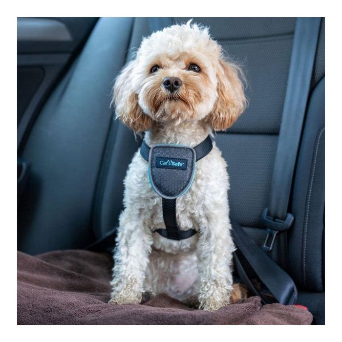 Arnés para Perro Company of Animals CarSafe Negro XS 10