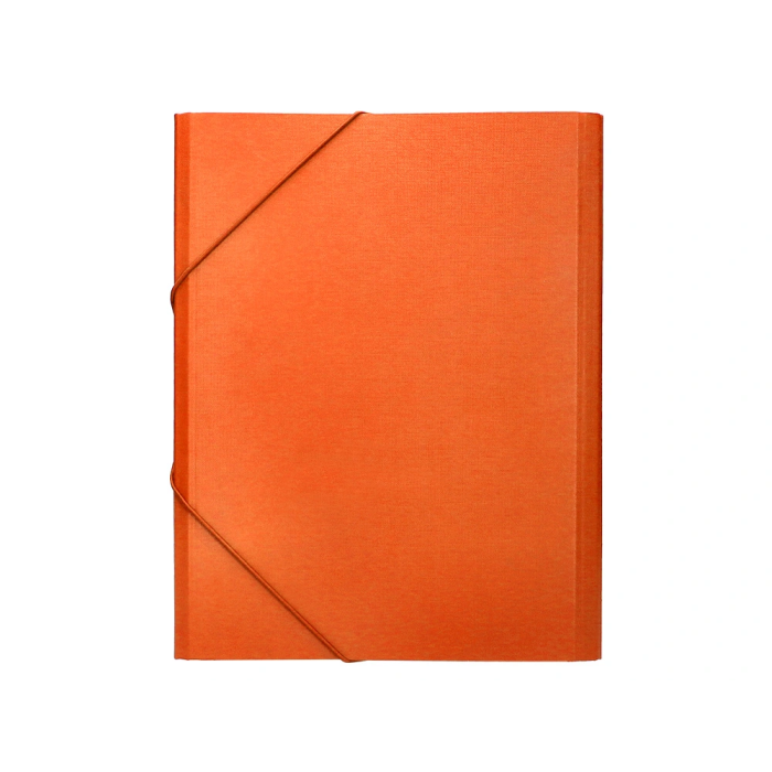 Liderpapel Carpeta Clasificadora Folio Prolongado Cartón Forrado Naranja 12 Departamentos 4