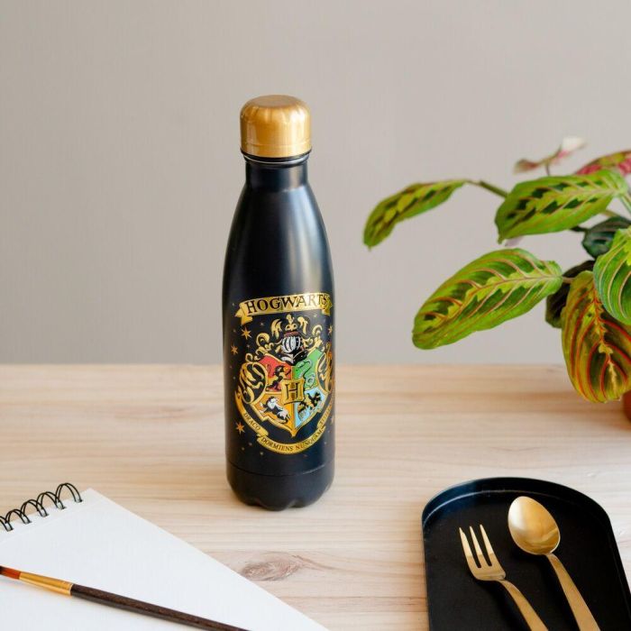 Botella acero inoxidable Hogwarts Harry Potter 500ml 4 Botella acero inoxidable Hogwarts Harry Potter 500ml 4