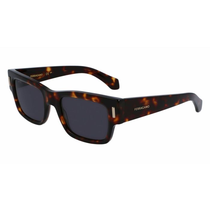 Gafas de Sol Hombre Salvatore Ferragamo SF2011S-242 Ø 53 mm 0 Gafas de Sol Hombre Salvatore Ferragamo SF2011S-242 Ø 53 mm 0