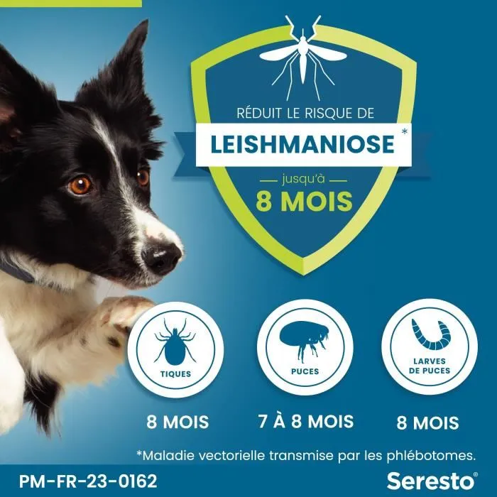 Seresto Collar Antiparasitario para Perros Grandes - Protección contra Pulgas y Garrapatas por 7-8 Meses 2