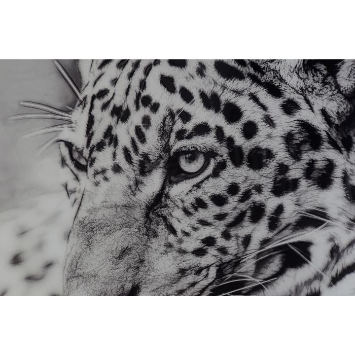 DKD Home Decor Cuadro Leopardo Negro Blanco Cristal Aluminio 100 x 100 cm (2 Unidades) 2